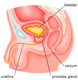 prostate massage